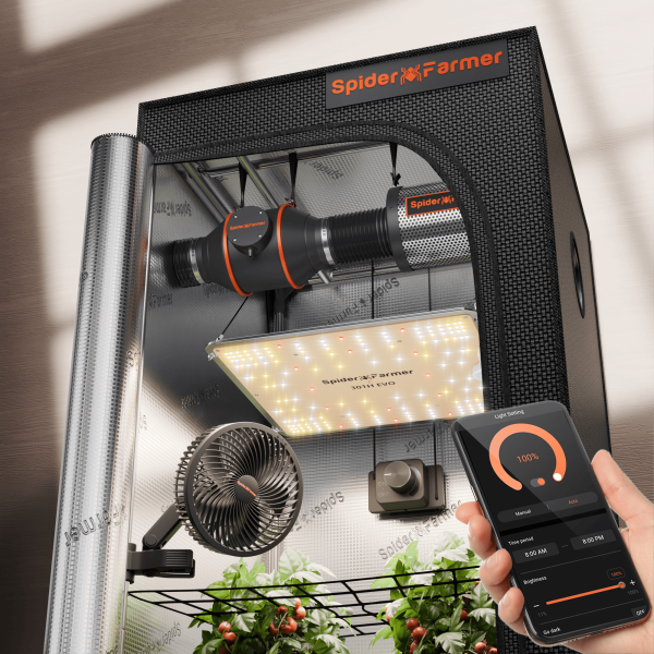 70x70cm complete grow tent kits SF1000 EVO light With Smart APP