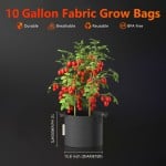 Spider-Farmer-11-gallon-grow-bag-size