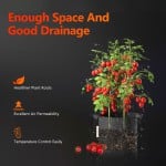 Spider-Farmer-11-gallon-grow-bag-Enough Space