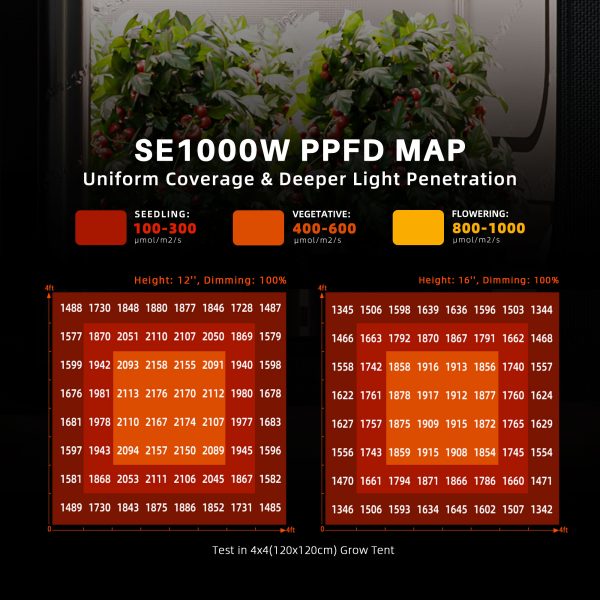 NEW SE1000W EVO-PPFD Map