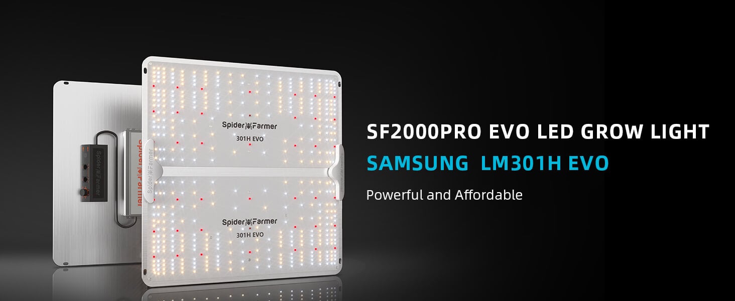 SF2000 pro samsung lm301h evo