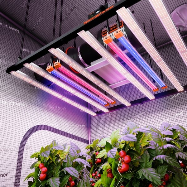 Spider Farmer UV30 & IR16 LED grow light bar for plants, with UV and infrared light for enhanced growth – 60cm