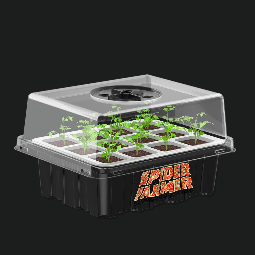 Seedling tray