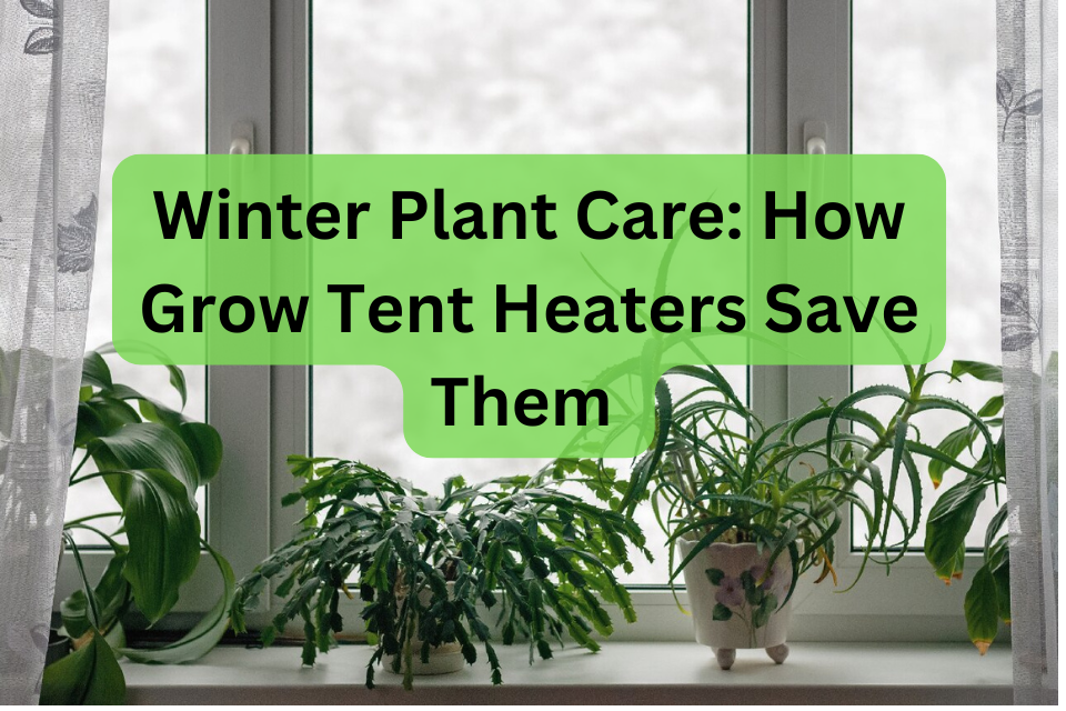 Winter Plant Care How Grow Tent Heaters Save Them