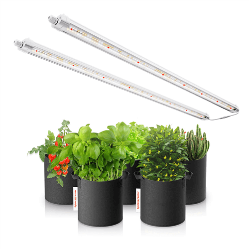 Best Christmas Gifts - Glow80 80W LED Grow Lights