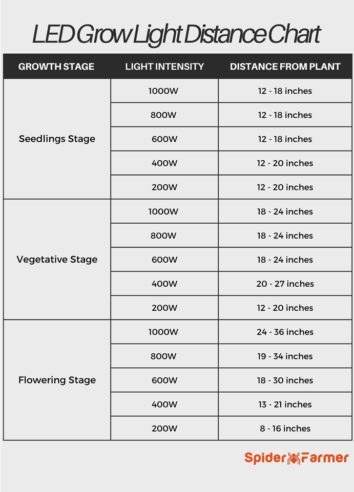 LED Grow Light Distance Chart