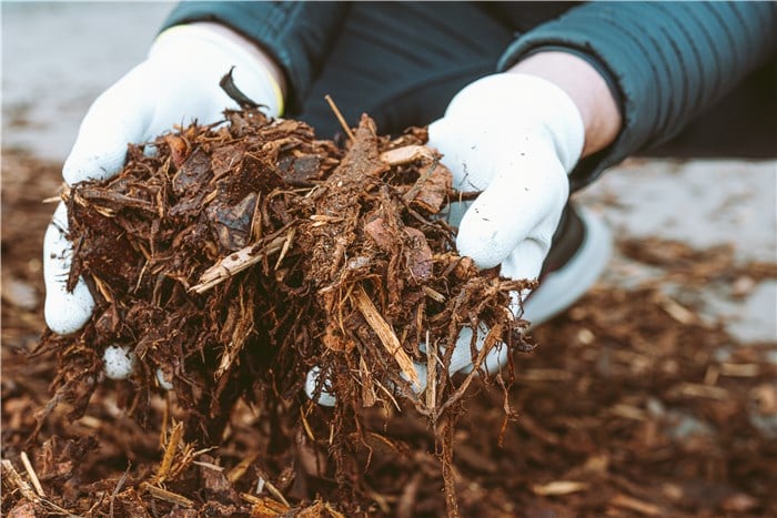 Best Soil to Use in a Garden During Winter - Mulching