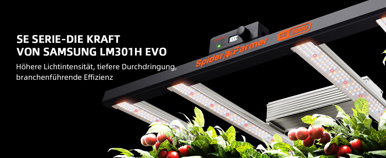 SE3000 300W LED-Wachstumslicht-DE
