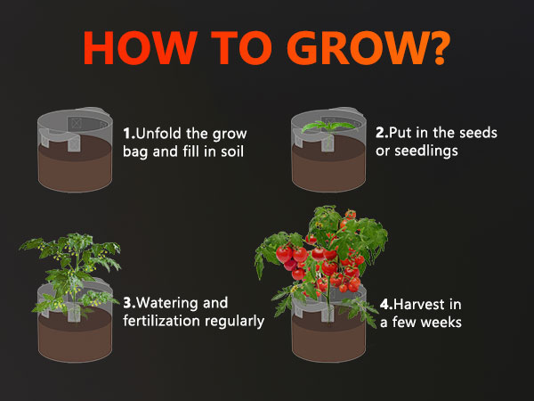 Spider-Farmer-11-gallon-grow-bag-m-4