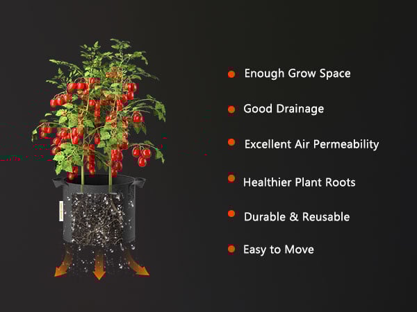 Spider-Farmer-11-gallon-grow-bag-m-5
