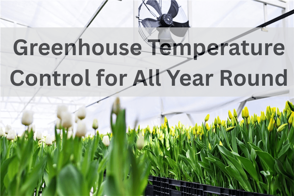 Greenhouse Temperature Control