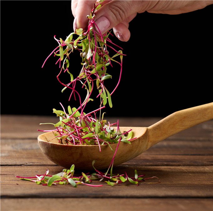 What to Do with Microgreens?
